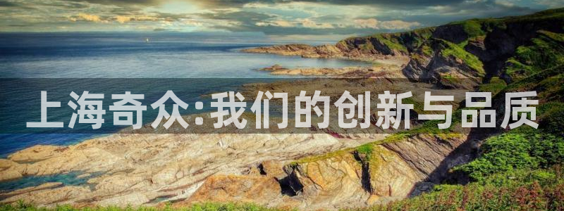 彩神这个平台是真的吗：上海奇众:我们的创新与品质
