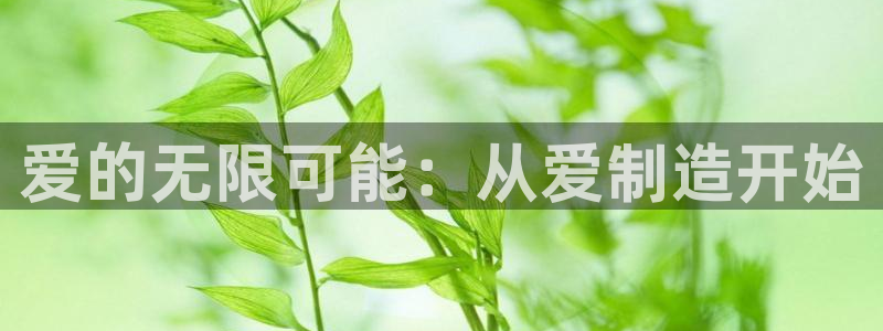 彩神客服电话：爱的无限可能：从爱制造开始