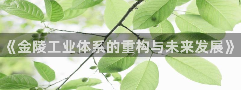 彩神ⅴll用户登录：《金陵工业体系的重构与未来发展》