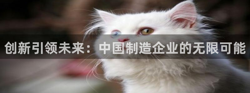 彩神是什么平台：创新引领未来：中国制造企业的无限可能