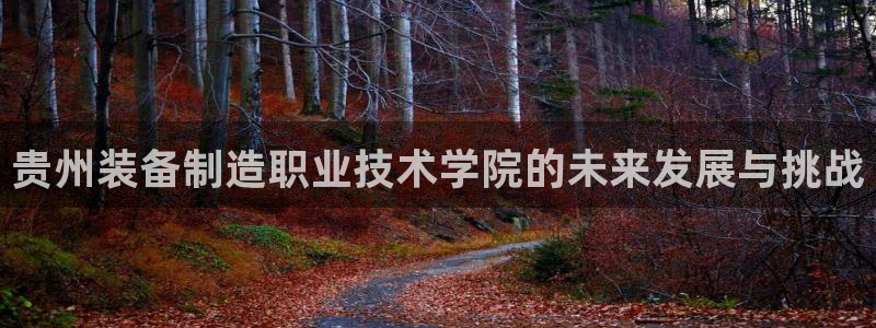 彩神ii官方网：贵州装备制造职业技术学院的未来发展与挑战