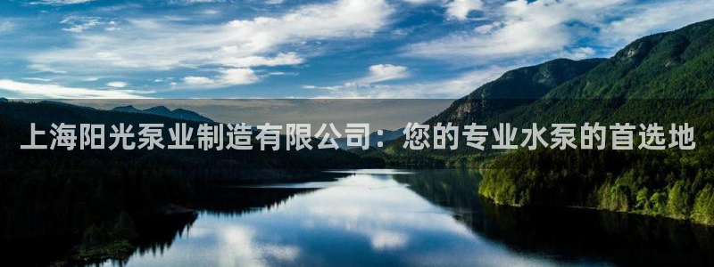 彩神赢的钱是哪里来的：上海阳光泵业制造有限公司：您的专业水泵的首选地