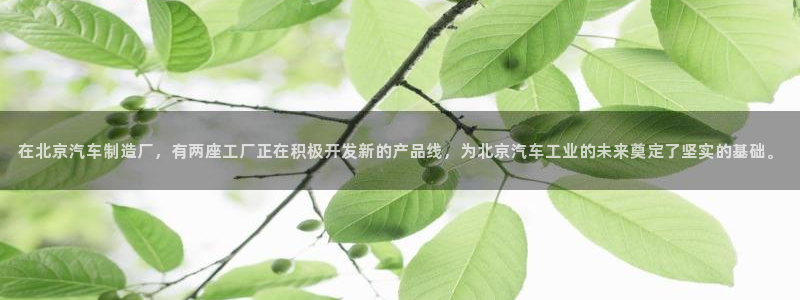 彩神平台是什么套路：在北京汽车制造厂，有两座工厂正在积极开发新的产品线，为北京汽车工业的未来奠定了坚实的基础。