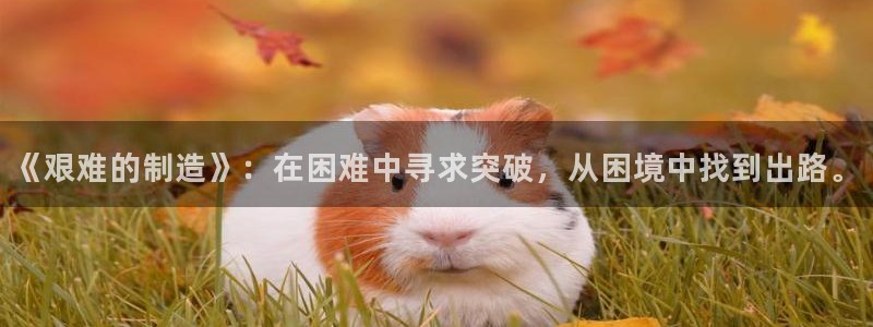 彩神v8下载网址：《艰难的制造》：在困难中寻求突破，从困境中