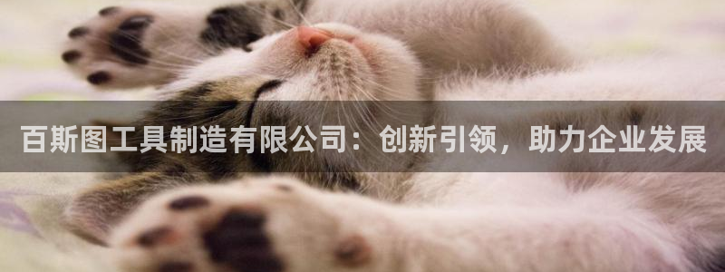 彩神v8app：百斯图工具制造有限公司：创新引领，助力企业发展