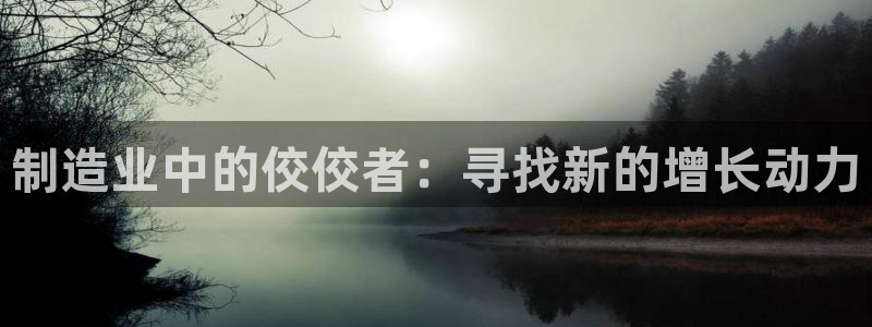 下载彩神乐发V