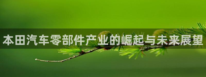 有谁知道彩神争霸的网址：本田汽车零部件产业的崛起与未来展望