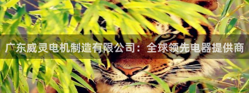 彩神是正规平台吗知乎