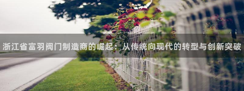 彩神ios下载：浙江省富羽阀门制造商的崛起：从传统向现代的转