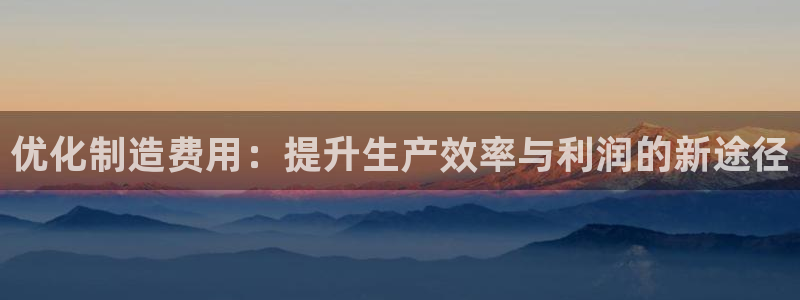 彩神系列平台：优化制造费用：提升生产效率与利润的新途径