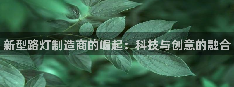 彩神v8iii：新型路灯制造商的崛起：科技与创意的融合