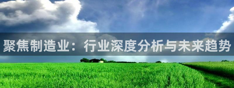彩神VII购彩中心：聚焦制造业：行业深度分析与未来趋势