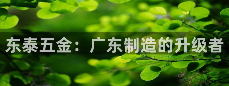 彩神平台