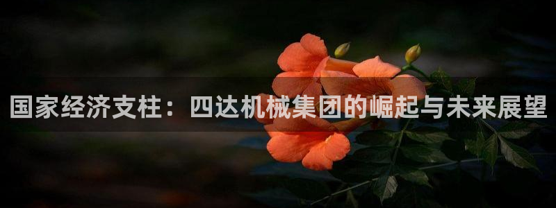 彩神是什么平台：国家经济支柱：四达机械集团的崛起与未来展望
