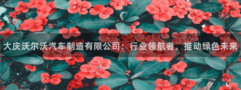 彩神x平台靠什么盈利：大庆沃尔沃汽车制造有限公司：行业领航者，推动绿色未来