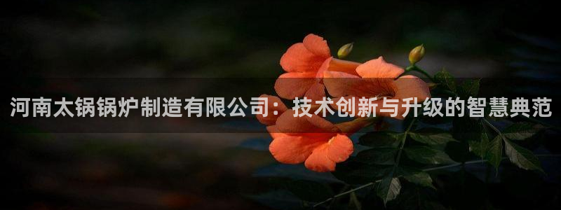 彩神v天天：河南太锅锅炉制造有限公司：技术创新与升级的智慧典范