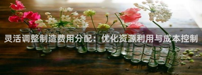 彩神是正规平台吗安全吗：灵活调整制造费用分配：优化资源利用与成本控制