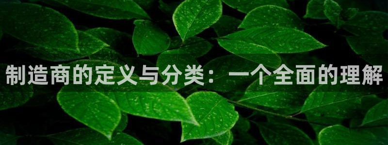 彩神ⅴll用户登录：制造商的定义与分类：一个全面的理解