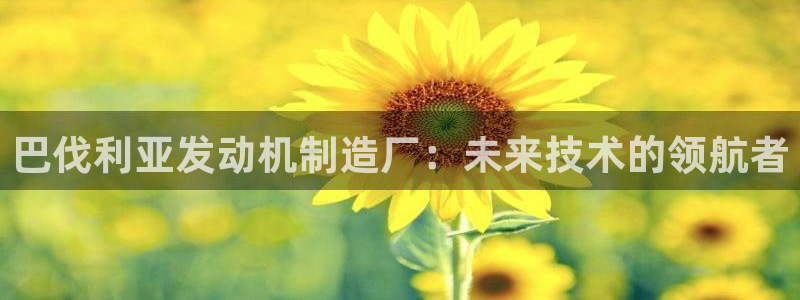彩神ix平台：巴伐利亚发动机制造厂：未来技术的领航者