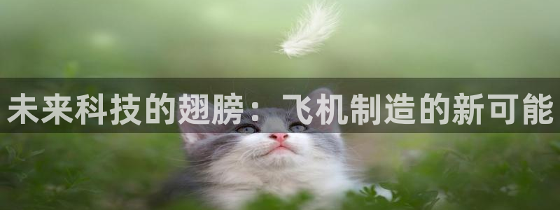 彩神iv能赚钱吗：未来科技的翅膀：飞机制造的新可能