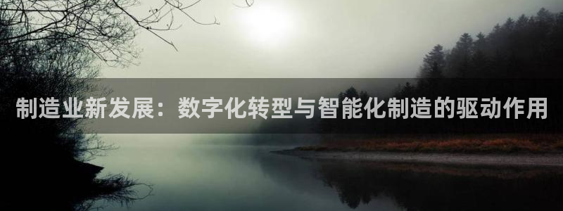 彩神Vii购彩-购彩大厅：制造业新发展：数字化转型与智能化制造的驱动作用