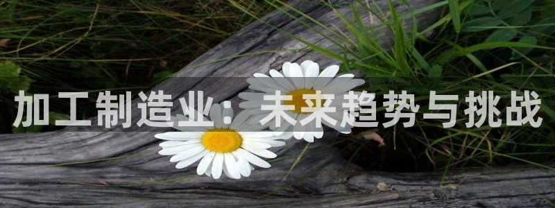 彩神是什么平台的游戏：加工制造业：未来趋势与挑战