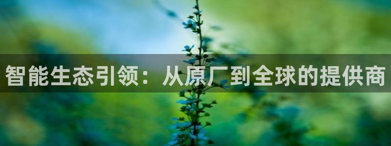 彩神ix能赚钱吗：智能生态引领：从原厂到全球的提供商