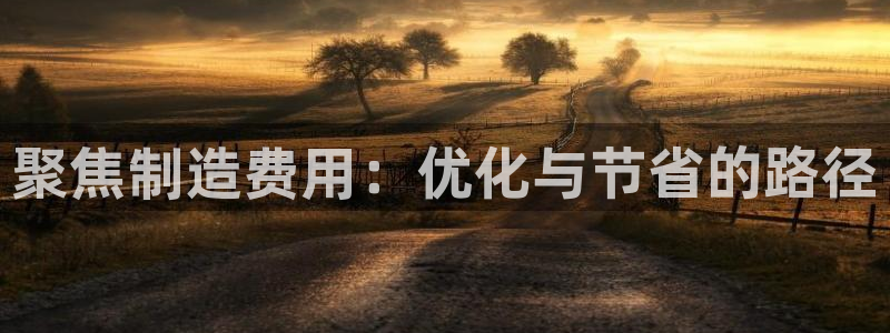 彩神v8首页：聚焦制造费用：优化与节省的路径