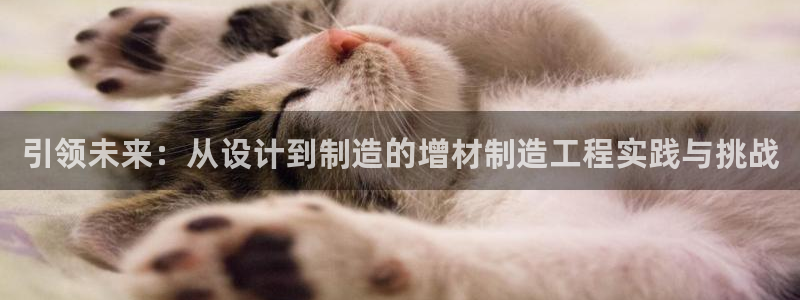彩神v彩搜狗
