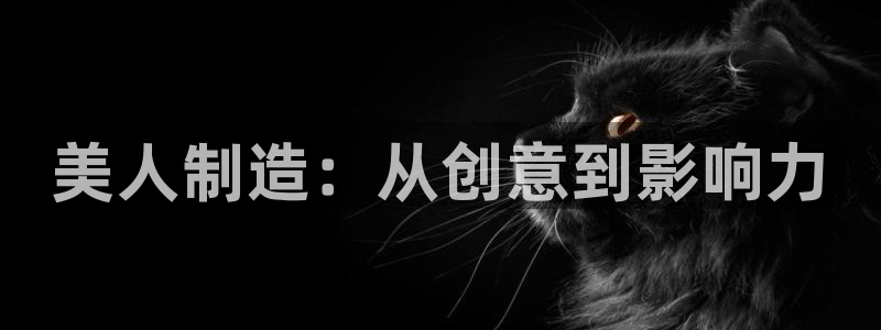 彩神v8几个版本