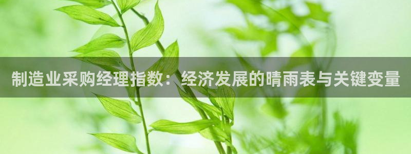彩神是什么平台的游戏：制造业采购经理指数：经济发展的晴雨表与关键变量