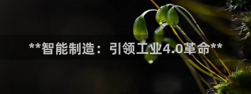 彩神app能挣到钱吗：**智能制造：引领工业4.0革命**