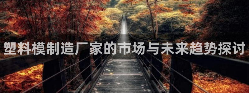 彩神v|：塑料模制造厂家的市场与未来趋势探讨