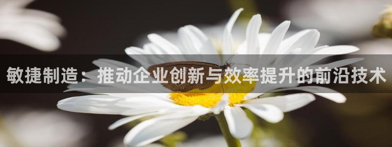 彩神用户登录：敏捷制造：推动企业创新与效率提升的前沿技术