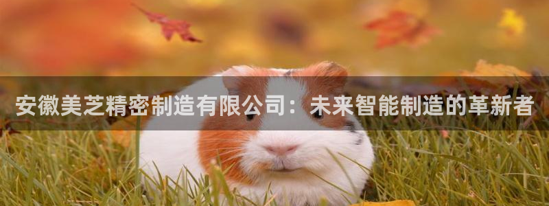 彩神广告有限公司：安徽美芝精密制造有限公司：未来智能制造的革