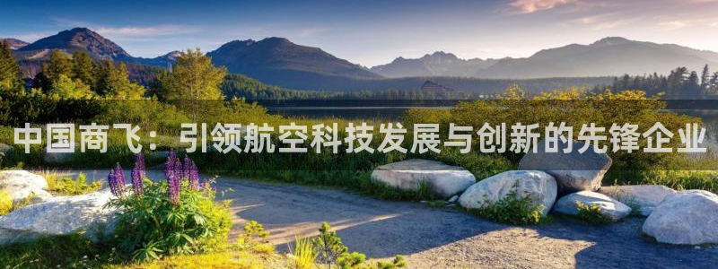 彩神赢了钱登录不上去：中国商飞：引领航空科技发展与创新的先锋企业