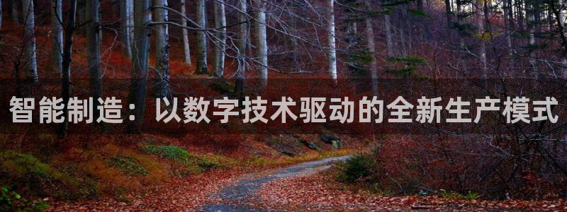 彩神v违法么：智能制造：以数字技术驱动的全新生产模式