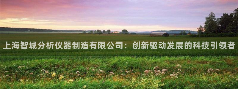 彩神8彩平台：上海智城分析仪器制造有限公司：创新驱动发展的科技引领者