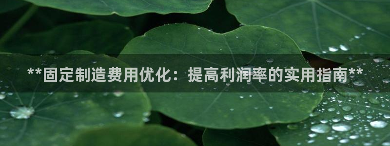 彩神大发云：**固定制造费用优化：提高利润率的实用指南**