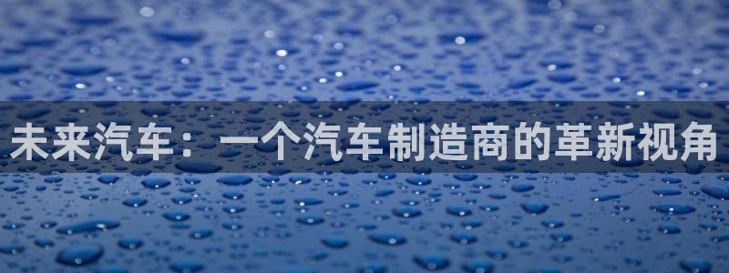 彩神输的钱是赌博还是诈骗：未来汽车：一个汽车制造商的革新视角