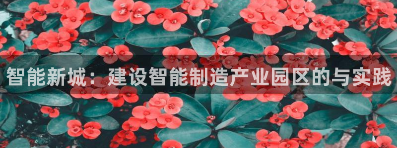 彩神8官网合法吗：智能新城：建设智能制造产业园区的与实践