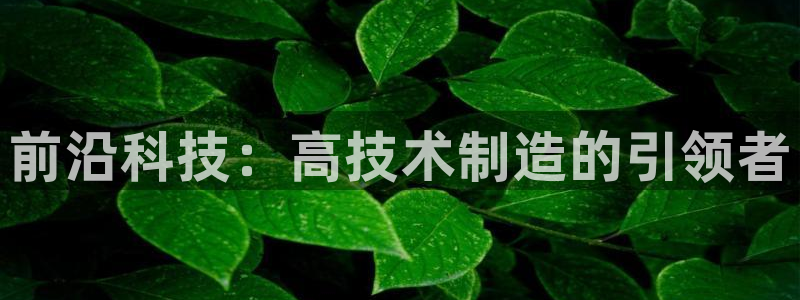 彩神vii官网：前沿科技：高技术制造的引领者