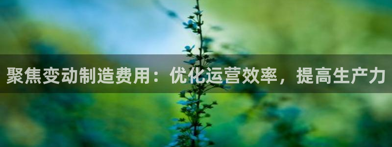 彩神官方邀请码是多少：聚焦变动制造费用：优化运营效率，提高生产力