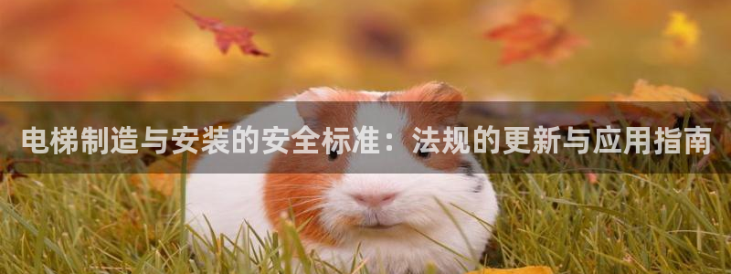 彩神vl官网：电梯制造与安装的安全标准：法规的更新与应用指南
