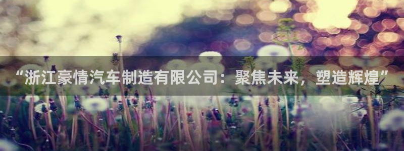 彩神vl购彩大厅：“浙江豪情汽车制造有限公司：聚焦未来，塑造辉煌”